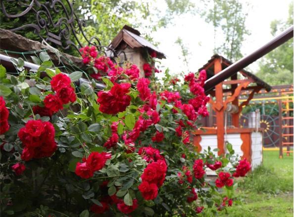 Вілла Apple House Микуличин Екстер'єр фото